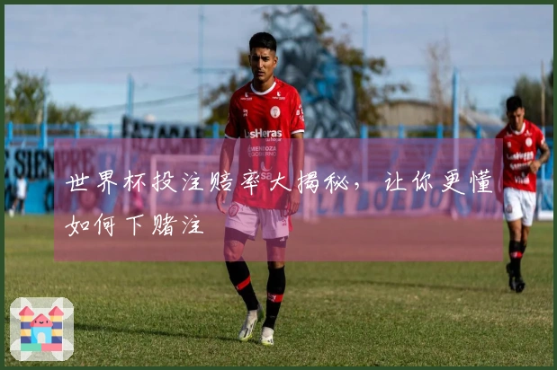 世界杯投注赔率大揭秘，让你更懂如何下赌注
