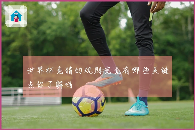 世界杯竞猜的规则究竟有哪些关键点你了解吗