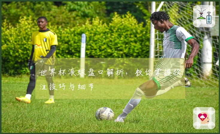 世界杯滚球盘口解析，教你掌握投注技巧与细节