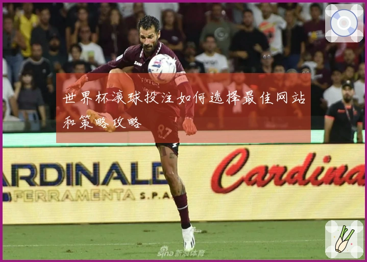 世界杯滚球投注如何选择最佳网站和策略攻略