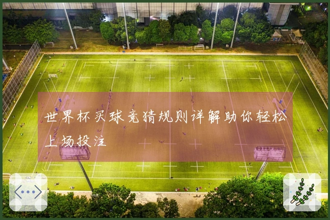 世界杯买球竞猜规则详解助你轻松上场投注