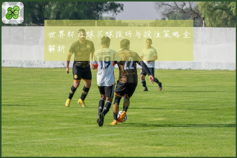 世界杯让球买球技巧与投注策略全解析