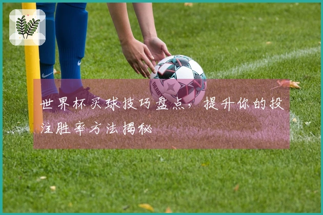 世界杯买球技巧盘点，提升你的投注胜率方法揭秘
