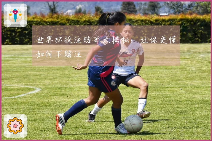 世界杯投注赔率大揭秘，让你更懂如何下赌注