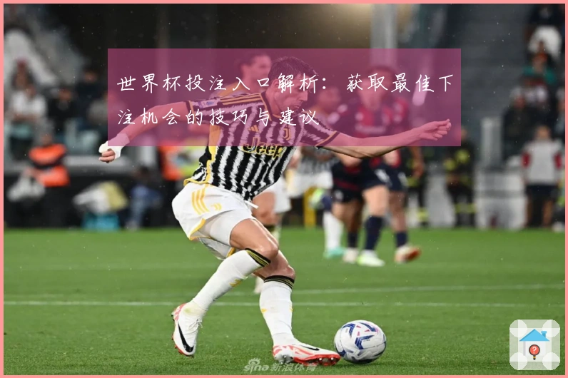 世界杯投注入口解析：获取最佳下注机会的技巧与建议