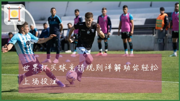 世界杯买球竞猜规则详解助你轻松上场投注