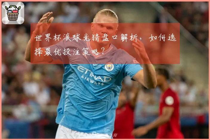 世界杯滚球竞猜盘口解析，如何选择最优投注策略？