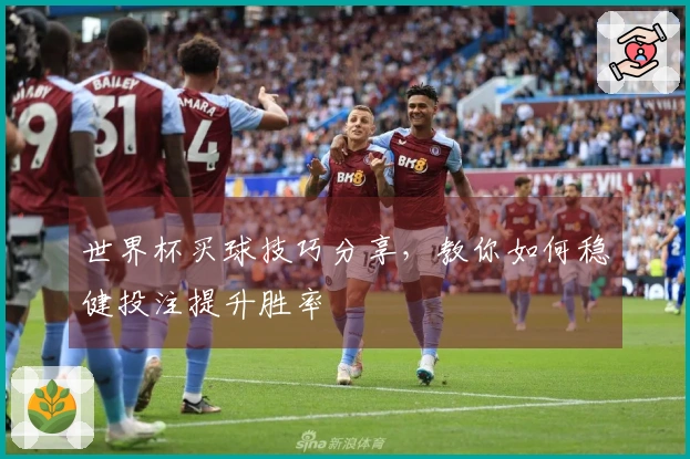 世界杯买球技巧分享，教你如何稳健投注提升胜率