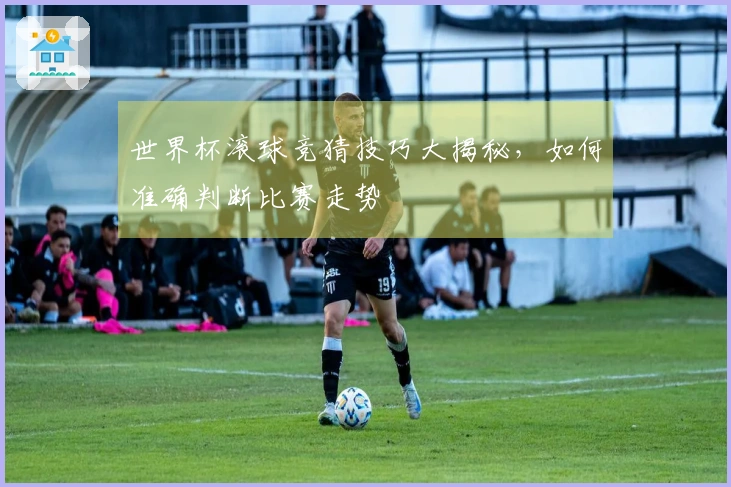 世界杯滚球竞猜技巧大揭秘，如何准确判断比赛走势