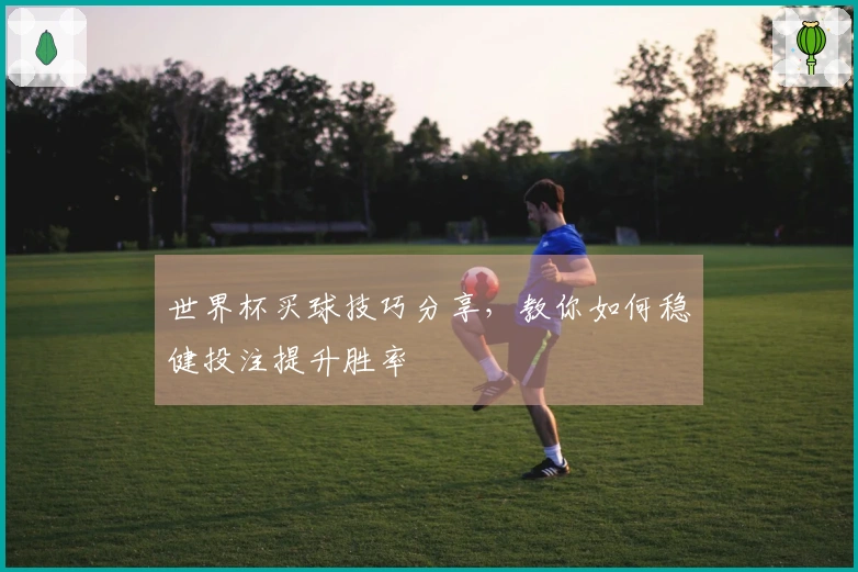 世界杯买球技巧分享，教你如何稳健投注提升胜率